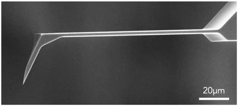 SEM image of an AFM cantilever and tip