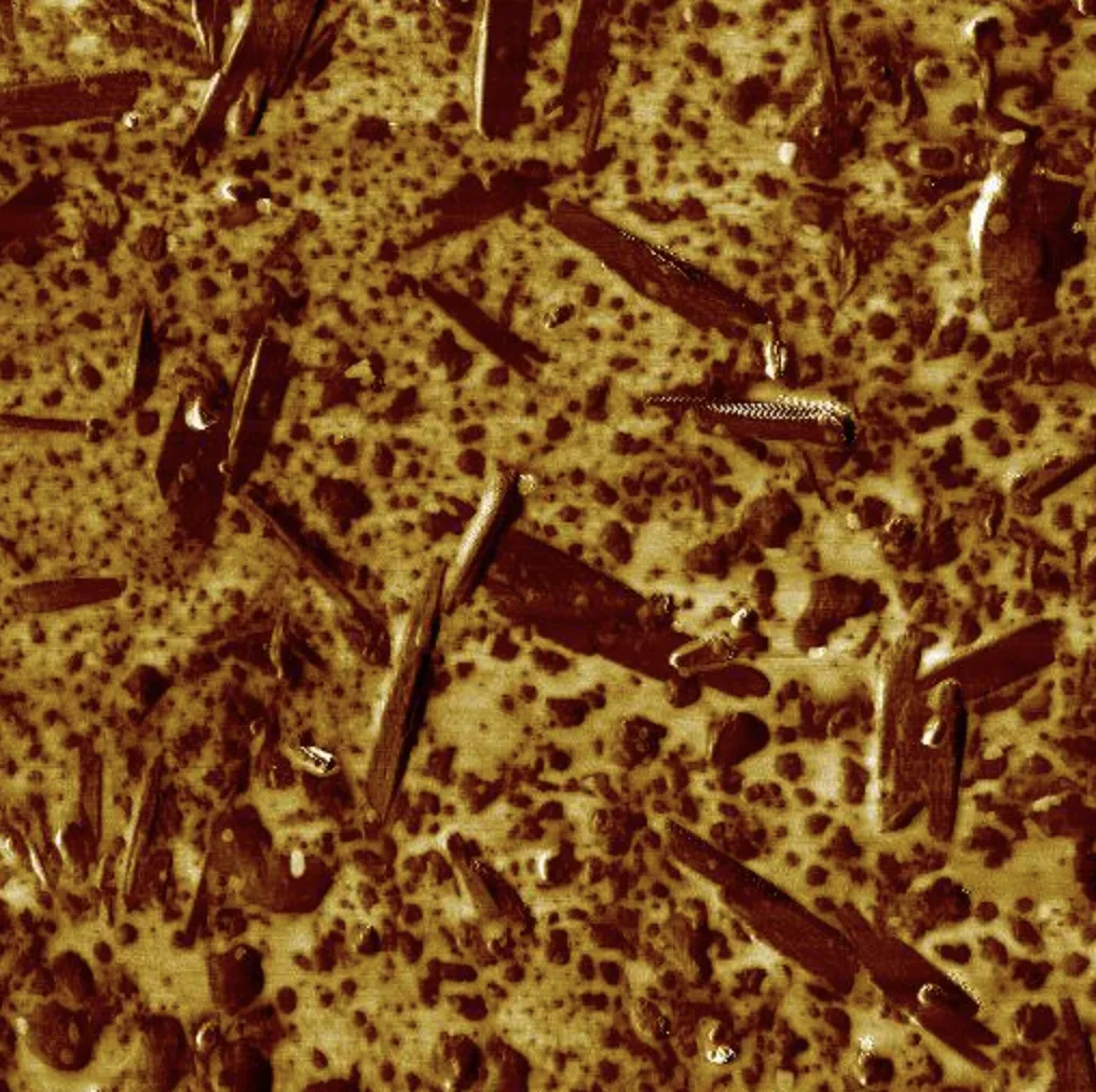 AAC Grains AFM Scan