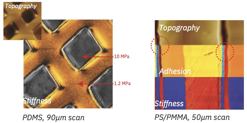 Soft MEKA AFM scans: stiffness and adhesion of PDMS and PS/PMMA