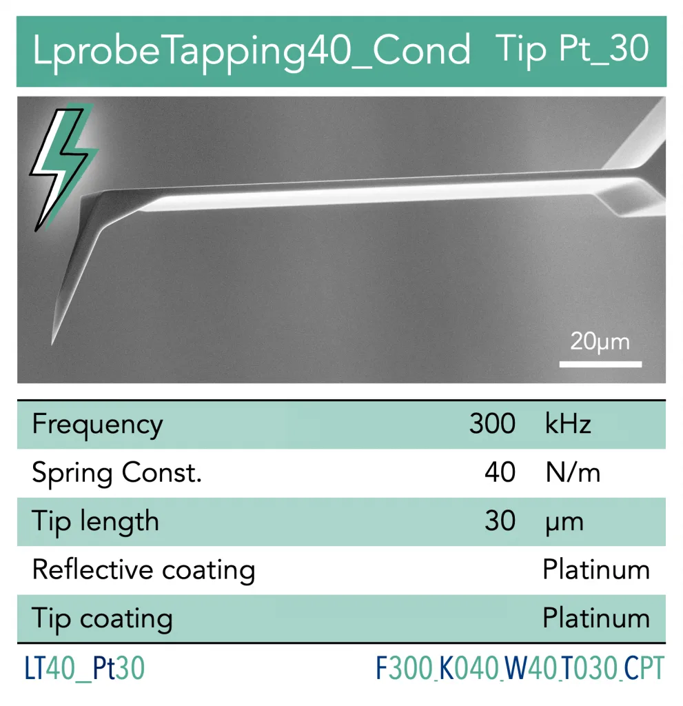 AFM Probe - Cantilever Vmicro