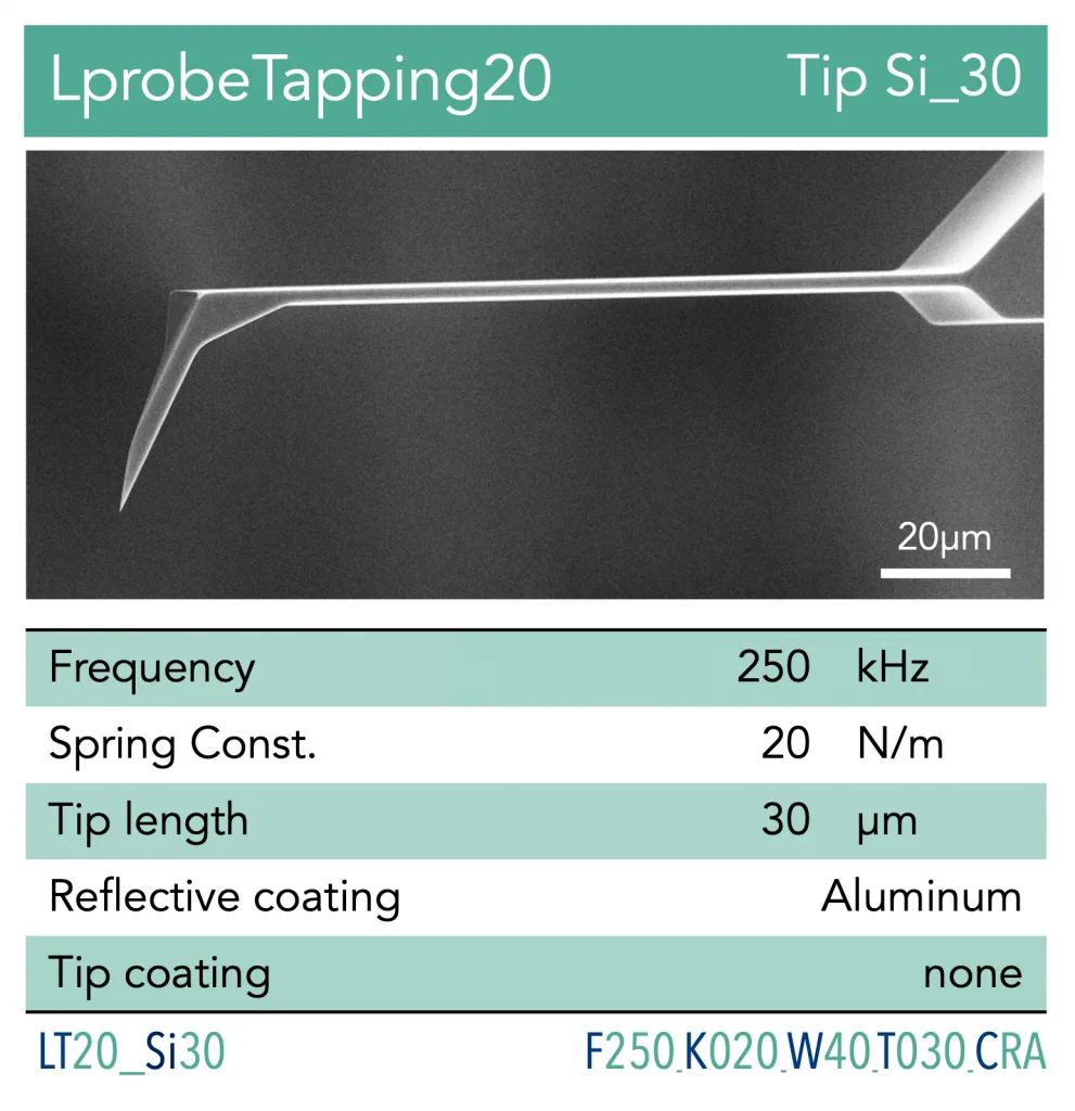 AFM Probe - Cantilever Vmicro