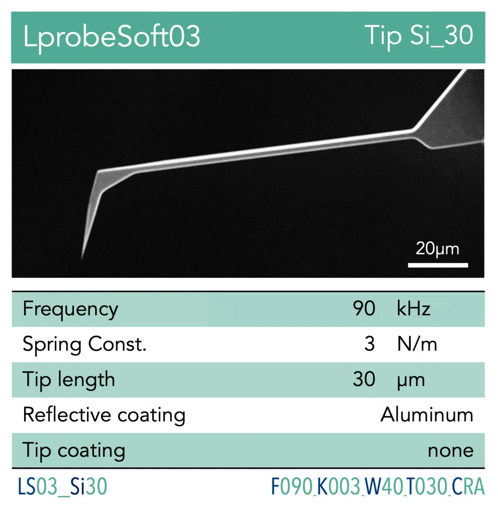 AFM Probe - Cantilever Vmicro