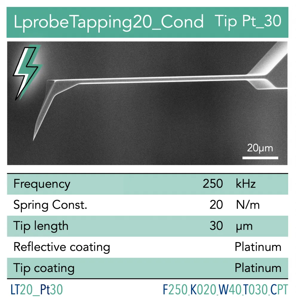 AFM Probe - Cantilever Vmicro