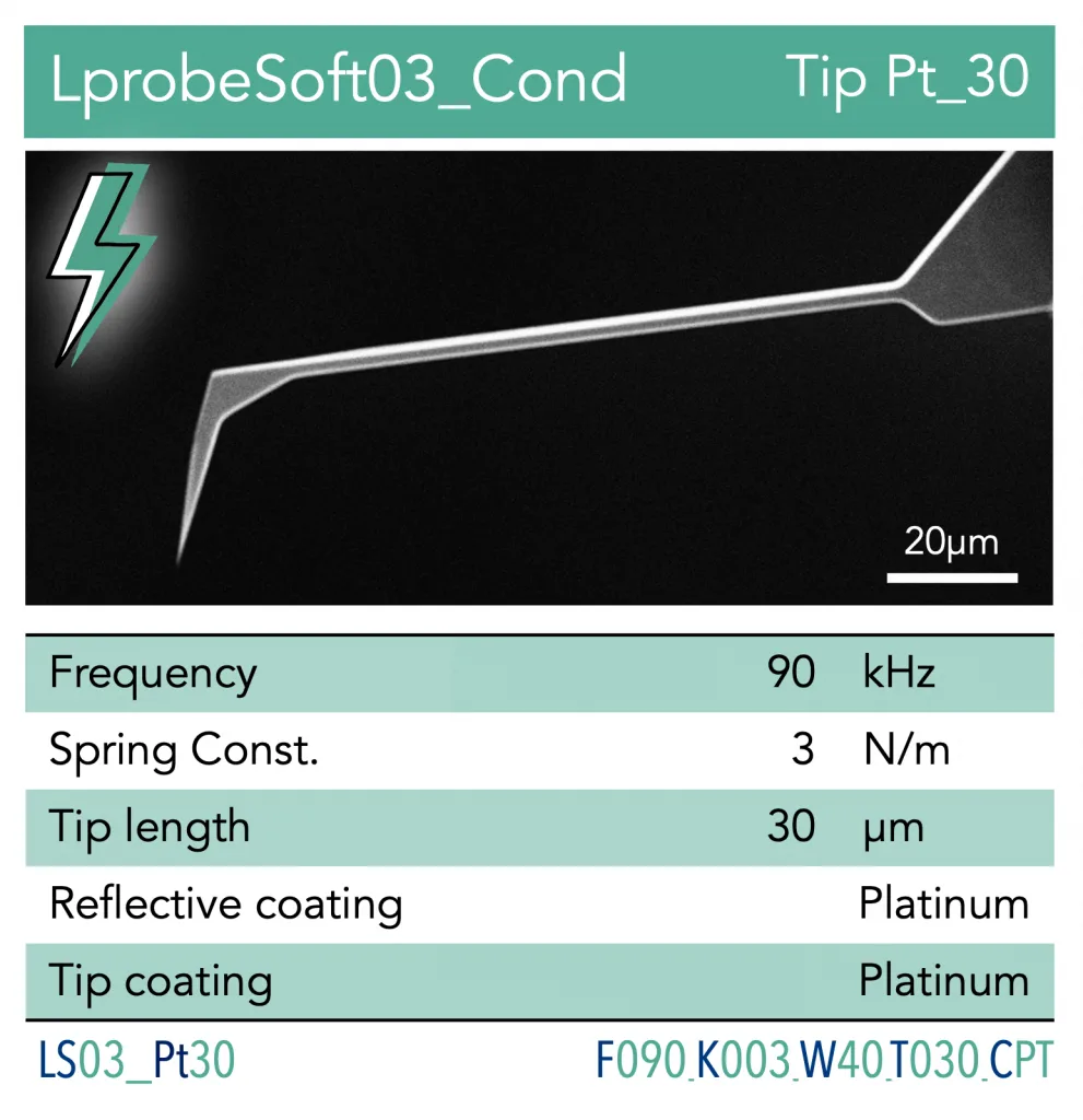 AFM Probe - Cantilever Vmicro