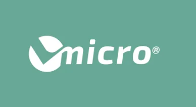 AFM Probe  Vmicro