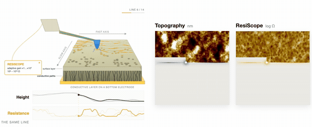 Animation: the tip rasters once while topography and a ResiScope resistance map fill in together