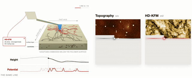 Animation: the tip rasters once while topography and HD-KFM surface potential maps fill in side by side, line for line