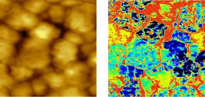 ResiScope III resistance map of perovskite solar cell film showing grain-level conductivity variations