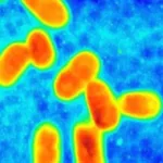 4.5 µm scan