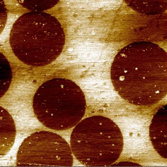 SThM on a carbon fiber / epoxy composite