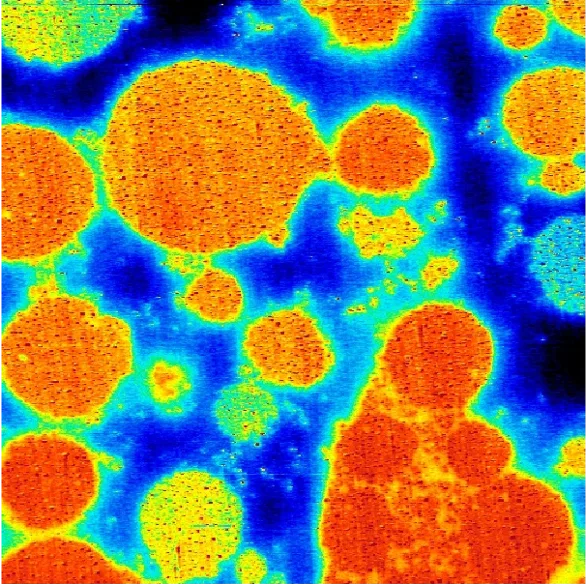 Battery Sample (Surface Potential image of Polymer Battery showing conductive phases…)