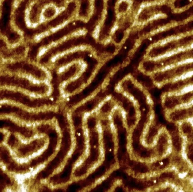 AFM scan of a block copolymer film