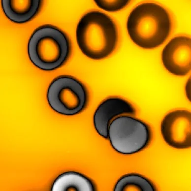 Blood Cell (Oscillating mode · 40x40µm)