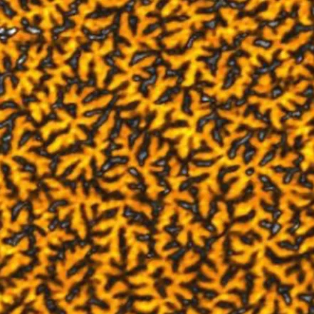 Cobalt alloy coating (MFM · 30x30µm)