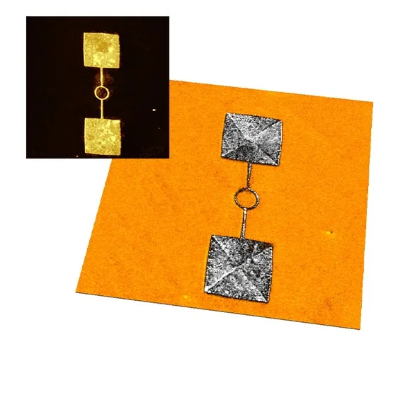 Cobalt Alloy Coating topography and MFM results, Scan size 30µm x 30 µm