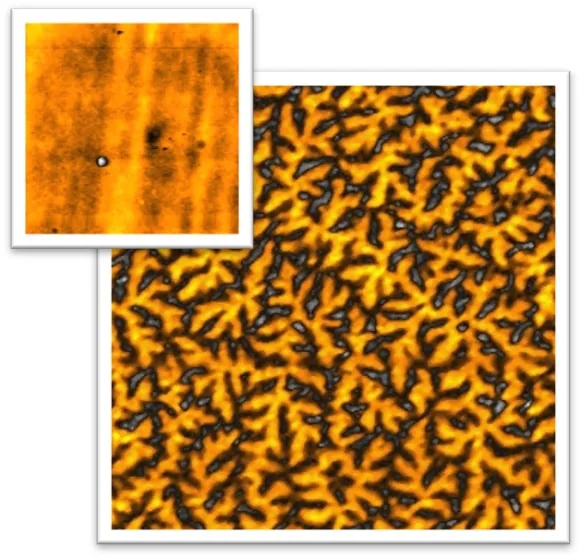 Cobalt Alloy Coating topography and MFM results, Scan size 30µm x 30 µm
