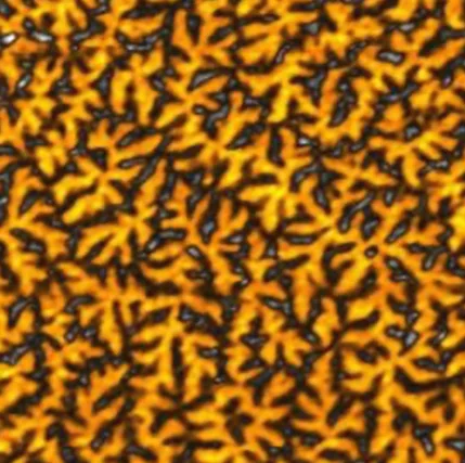 Cobalt Alloy Coating (MFM · 30µm)