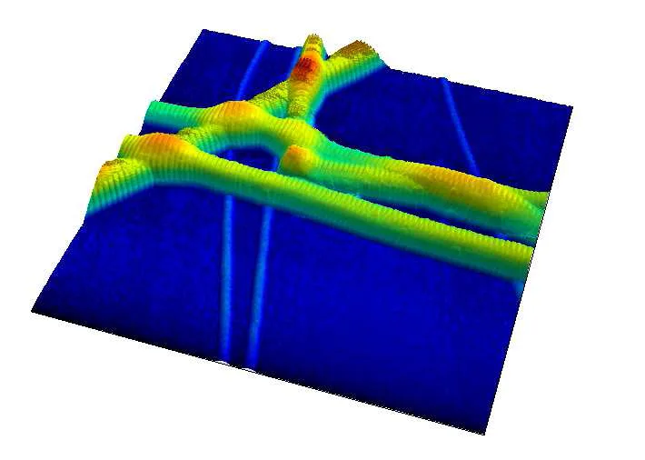 Collagens on tapping mode afm Scan size 5µm x 5 µm