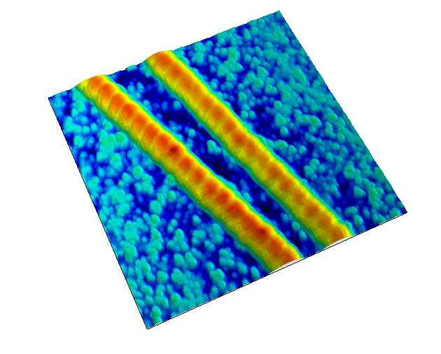 Collagens (Oscillating mode · 1.2x1.2 µm)
