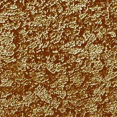Conductive AFM (C-AFM) AFM scan