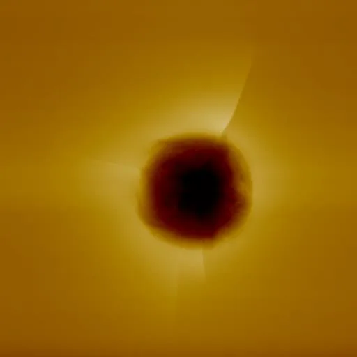 Contact Mode AFM