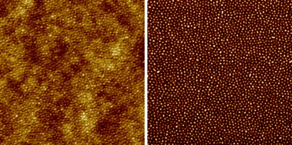 AFM scan of a copolymer film: resonant mode topography and phase, 2 µm