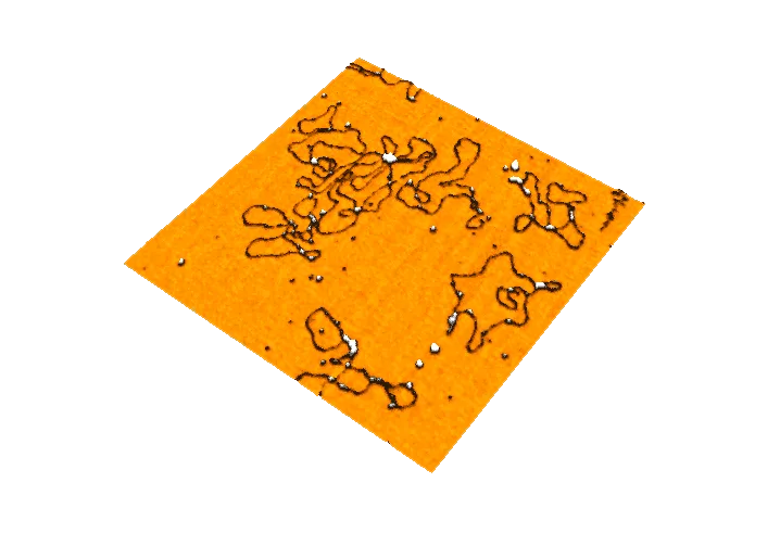 DNA (Oscillating mode · 800x800nm)