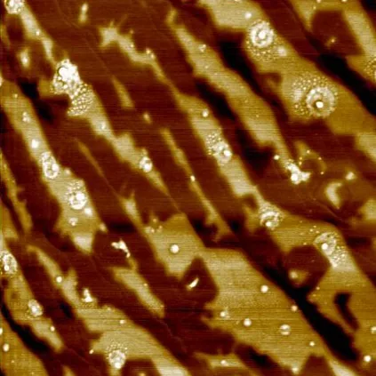 Electrical force microscopy scan result