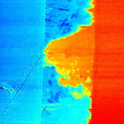 AFM scan: electrostatic force microscopy (EFM) map