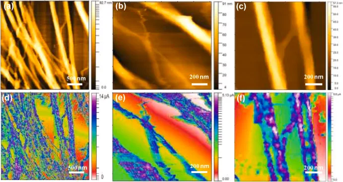 Engineering Selective Terahertz Photodetection