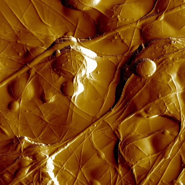Fibre (Resonant Mode · 10x10 µm)