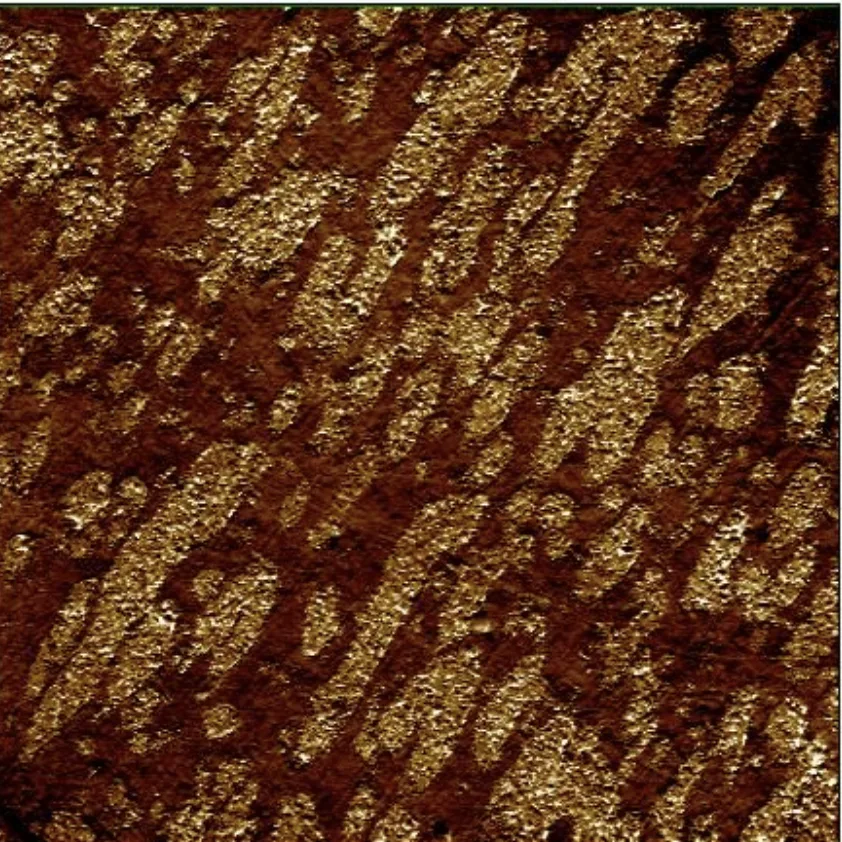 force modulation afm image of block polymer