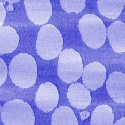 Force Modulation AFM scan