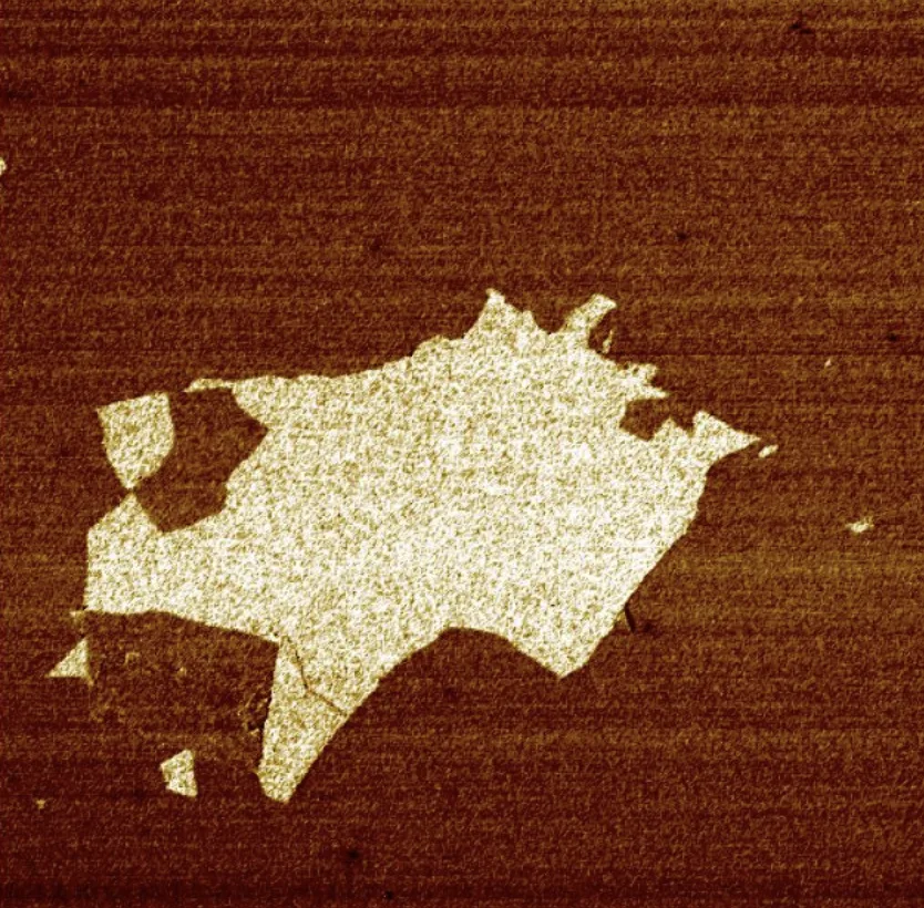 Friction (LFM) (Same area)