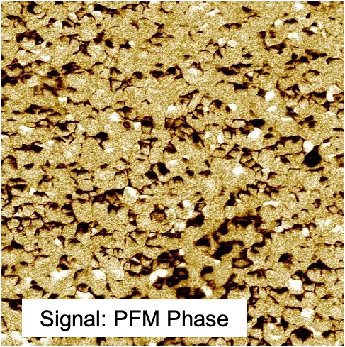 Grain Structure (5x5 µm)