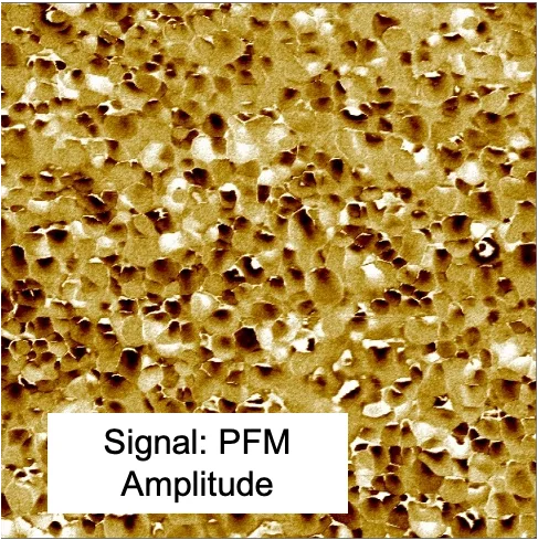Grain Structure (5x5 µm)