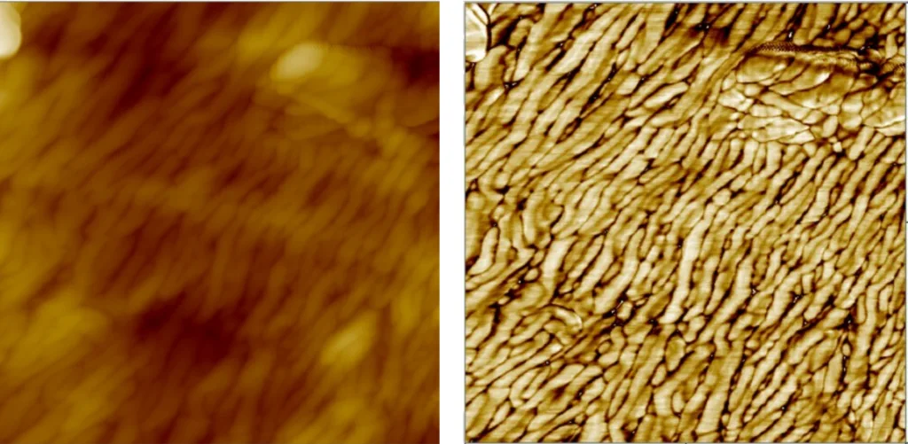 Grocery Bag (Resonant mode · 1 µm)