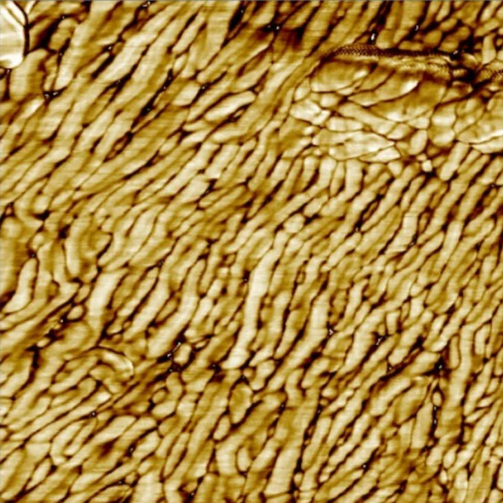 Grocery Bag (Resonant Mode · 1x1 µm)