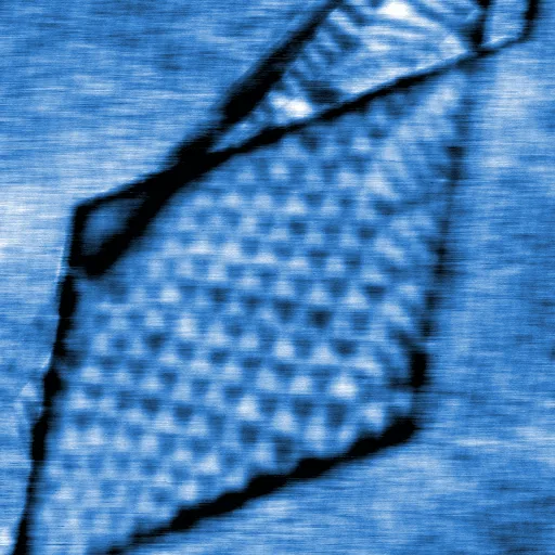 HBN (HD-KFM III)