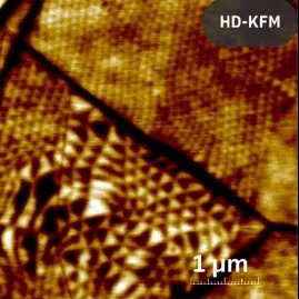 AFM scan of folded hBN: HD-KFM surface potential showing ~100 nm moiré domains, 1 µm scan