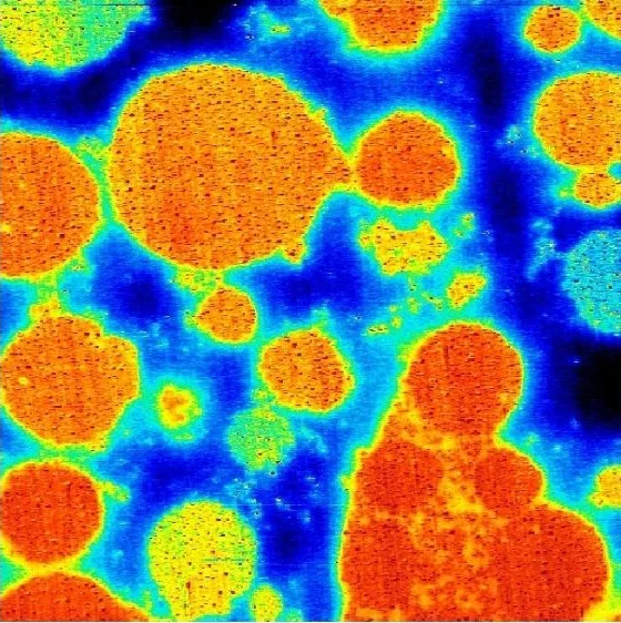 AFM scan of a polymer battery electrode: HD-KFM surface potential map, 50 × 50 µm