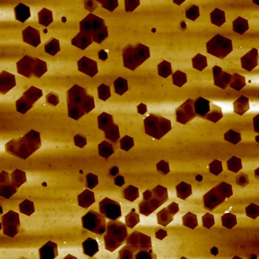 Hexagonal Structures AFM