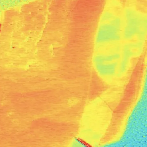 AFM scan of molybdenum: Kelvin force microscopy surface potential map