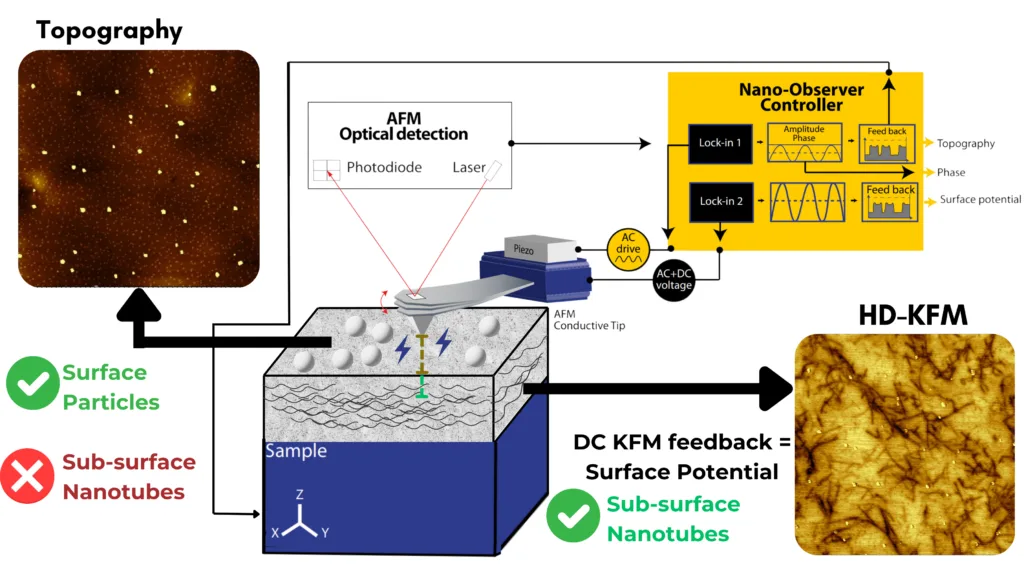 HD-KFM detects carbon nanotubes buried in a polymer: topography shows only the surface particles, the HD-KFM surface potential shows the nanotubes under the surface