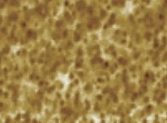 AFM scan of a very thin organic photovoltaic film: ResiScope resistance map, 5 µm scan