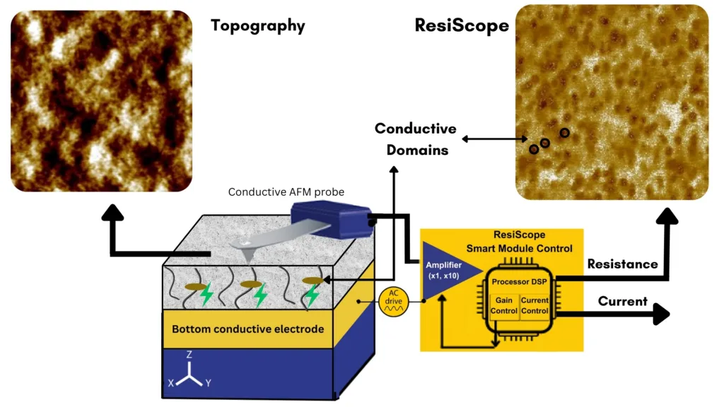 Organic Solar Cell Layers on ResiScope