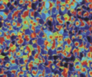 AFM scan of an oxide film grown on stainless steel in high-temperature water: ResiScope resistance map, 1 µm scan