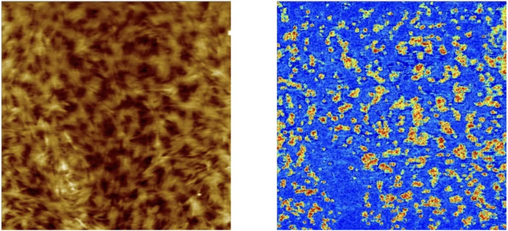 AFM measurement on a P3HT organic semiconductor thin film, second area