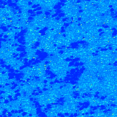 AFM scan of a P3HT organic solar cell: electrical map, 3 µm scan