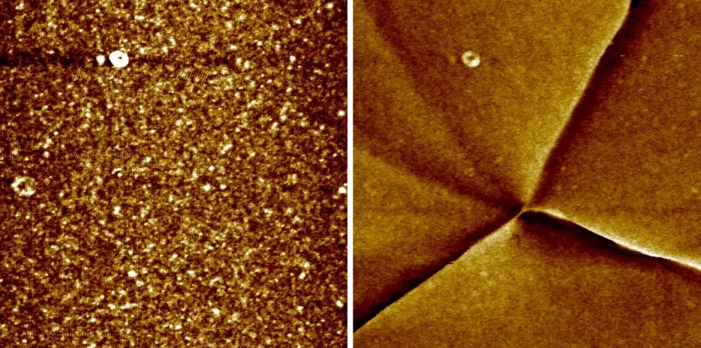Permalloy device close view topography and MFM phase signal, 4 micron scan